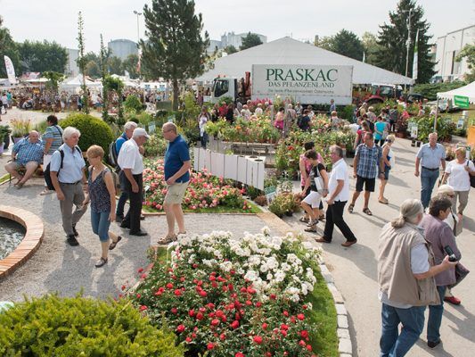 圖爾恩國際園藝博覽會(huì),圖爾恩國際園藝博覽會(huì)現(xiàn)場，花園展現(xiàn)場